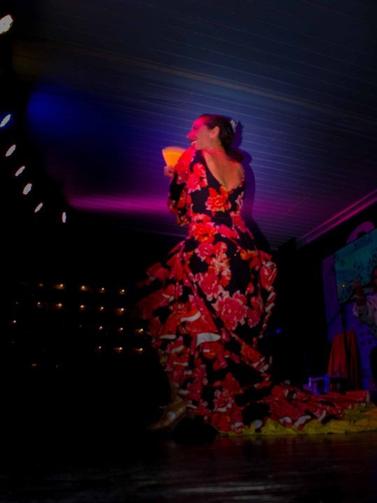 Flamenco performance by Duende Andaluz at the closing ceremony.