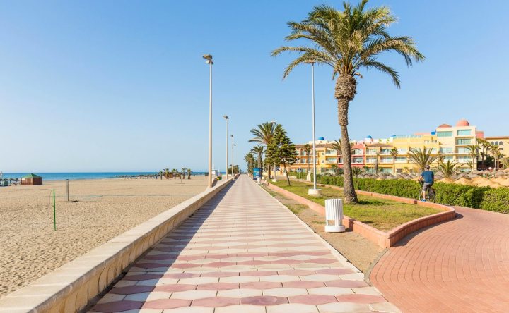Promenade du front de mer bordée de palmiers